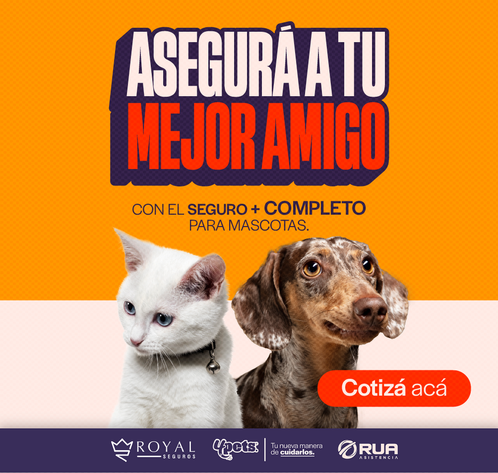 Asegurá a tu mejor amigo — Cotizá el seguro médico de tu mascota
