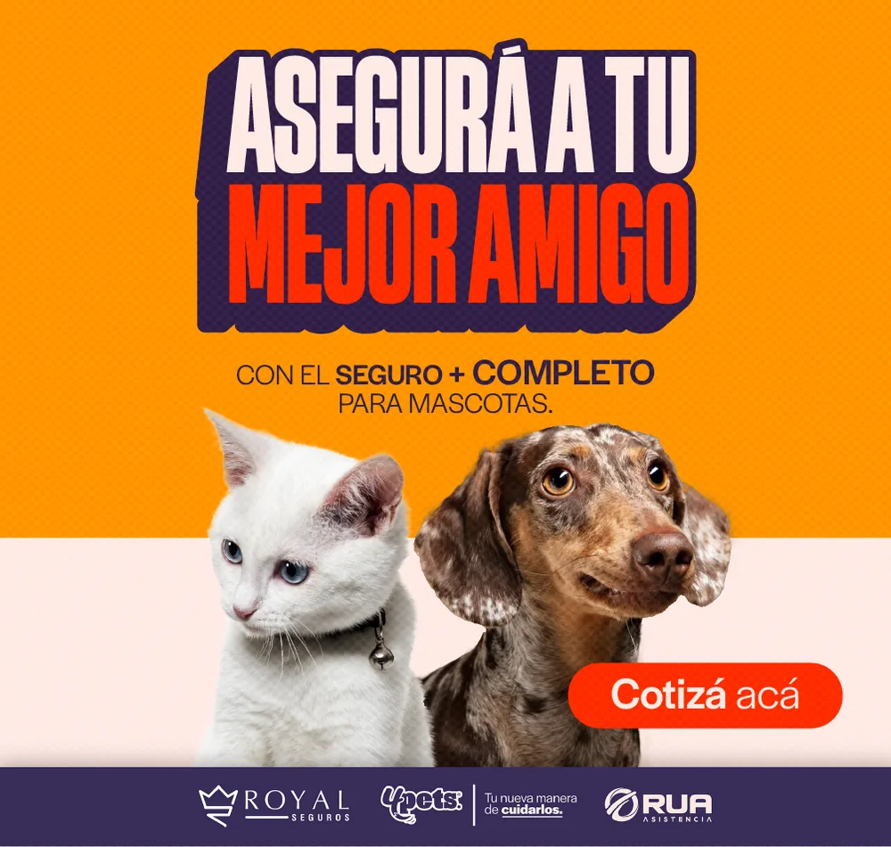 Asegurá a tu mejor amigo — Cotizá el seguro médico de tu mascota