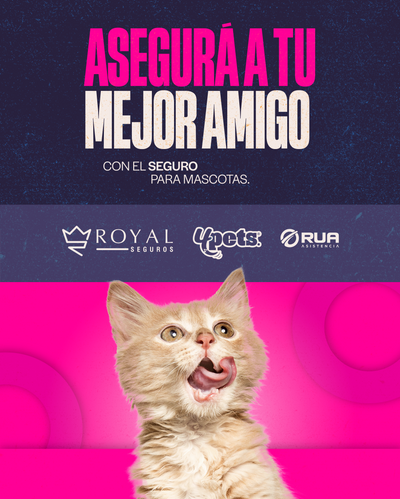 Categoría 1 A - Anual (Gato)