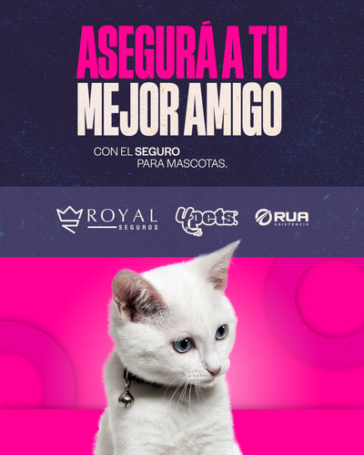 Categoría 1 B - Anual (Gato)