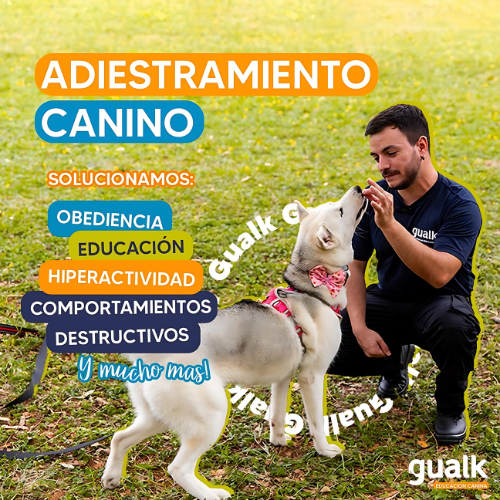 Gualk - Adiestramiento Canino Zona 1 (Asunción, Lambaré, Luque y Fernando de la Mora)