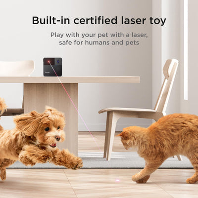 Cámara Play 2 de seguridad para mascotas con Wi-Fi - Compatible con Alexa