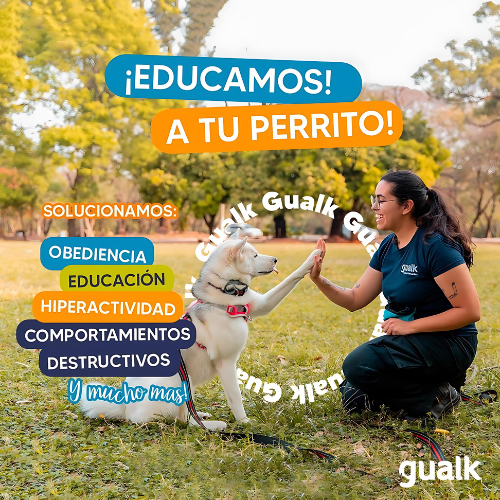 Gualk - Adiestramiento Canino Zona 1 (Asunción, Lambaré, Luque y Fernando de la Mora)