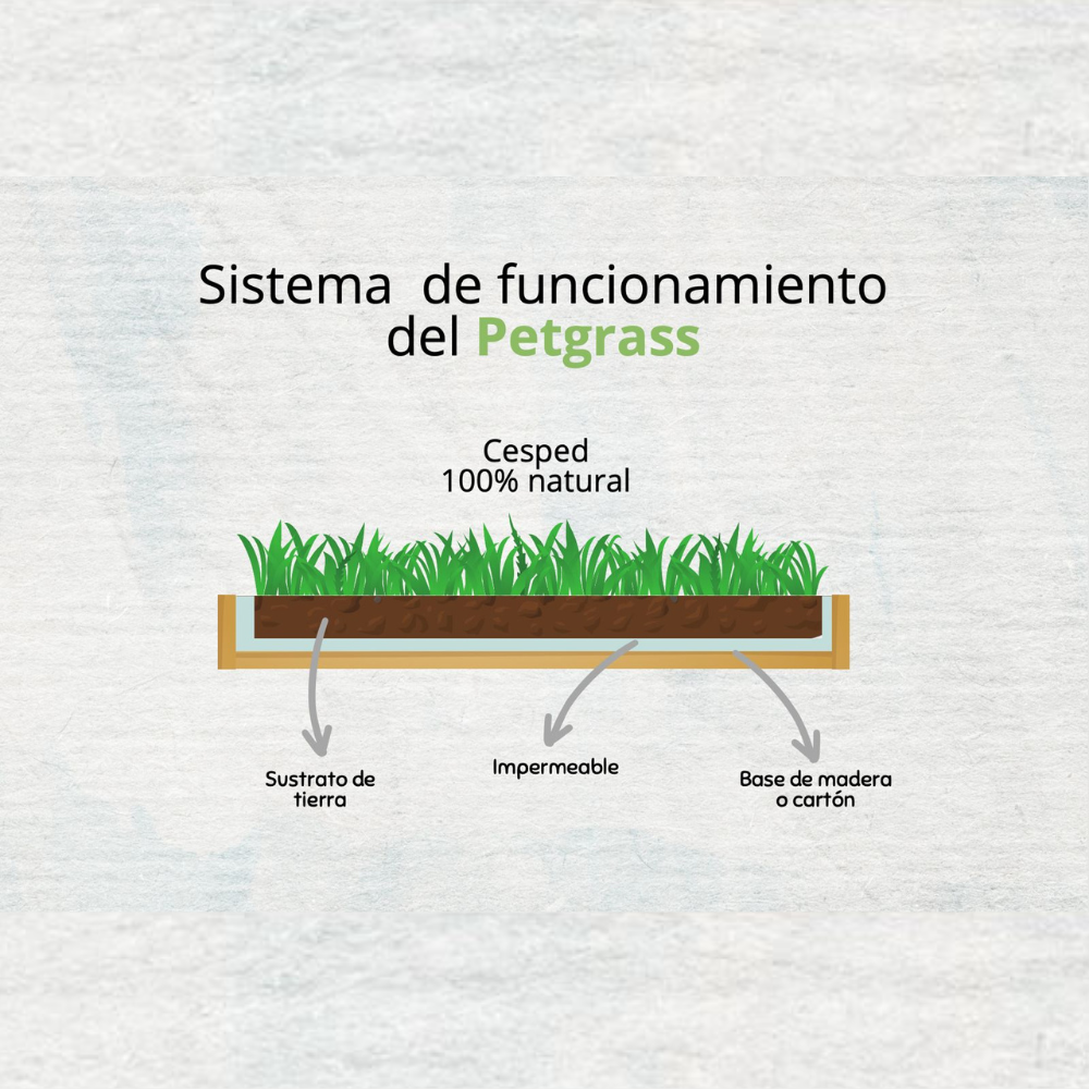 Pet Grass - Tapetes Ecológicos Mediano 70x50x9 cm (Día entrega - Jueves)