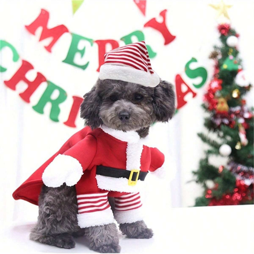 Disfraz de Santa con sombrero para mascotas