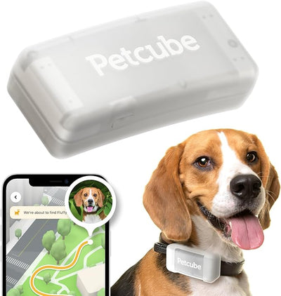 Localiza a tu compañero peludo: Rastreador GPS para perros - 4Pets