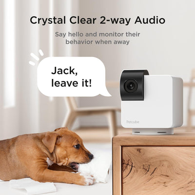 Cámara Cam 360 interactiva WiFi para mascotas - Compatible con Alexa