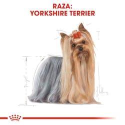 Royal Canin - Perros Adultos Yorkshire