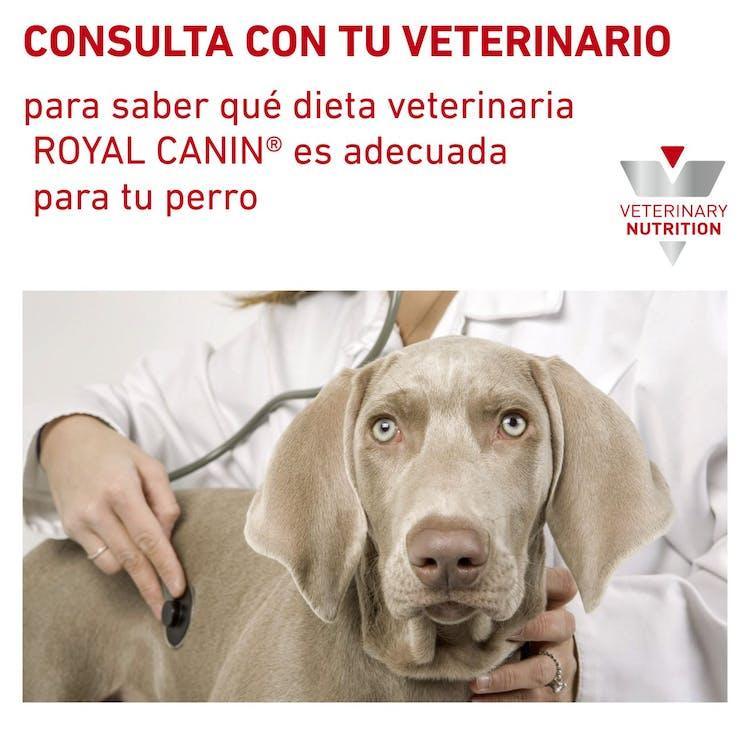 Royal Canin - Perros Adultos & Hipoalergénico Lata