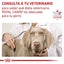 Royal Canin - Perros Adultos Cuidado Renal