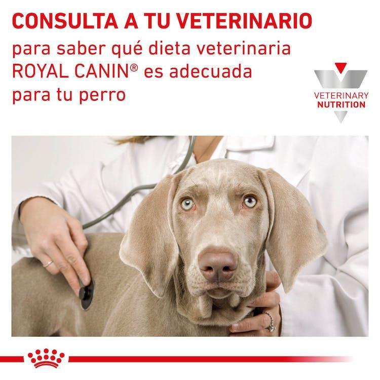 Royal Canin - Perros Adultos Cuidado Renal