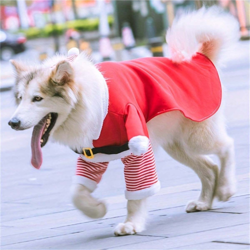 Disfraz de Santa con sombrero para mascotas