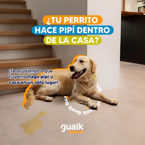 Gualk - Adiestramiento Canino Zona 2 (CDE)