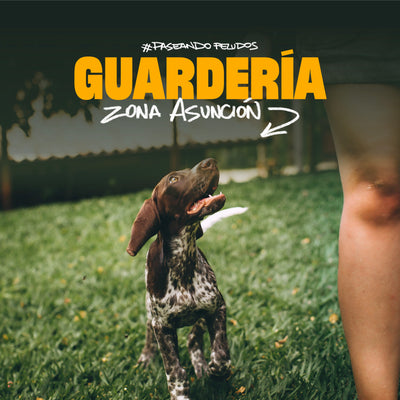 Guardería - Zona Asunción