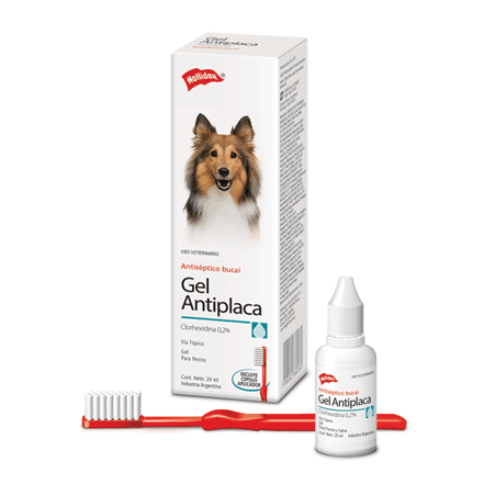 Holliday - Perros Antiséptico Clorhexidina Gel Antiplaca