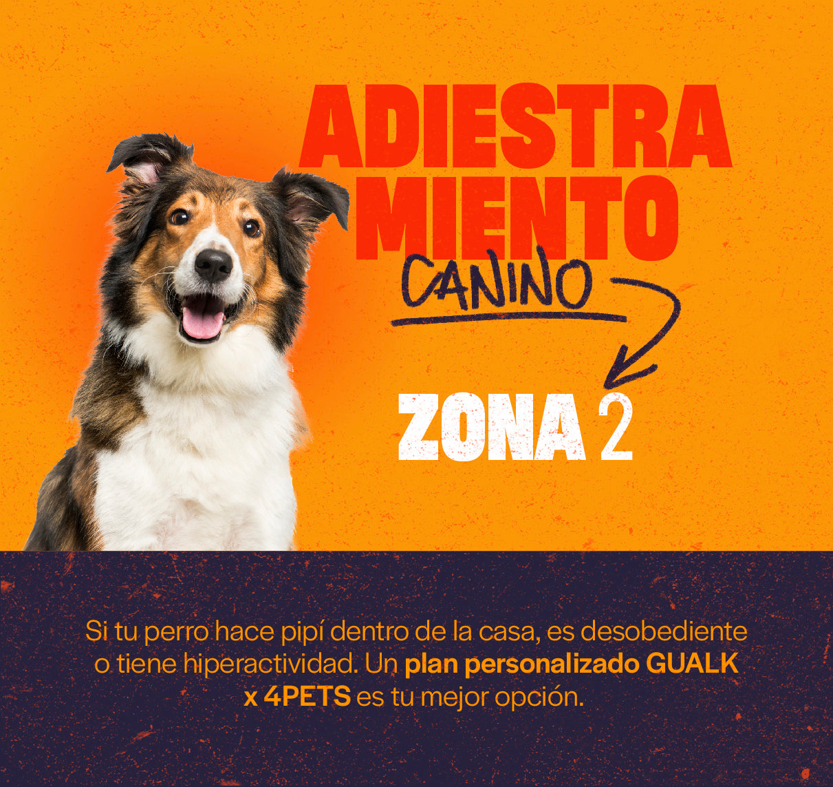 Gualk - Adiestramiento Canino Zona 3 (Capiatá, Limpio, Villarrica y Encarnación)