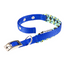 Collar Daytona Fantasy C Azul