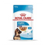 Royal Canin - Perros Cachorros Maxi Pate