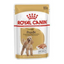 Royal Canin - Perros Adultos Poodle Paté