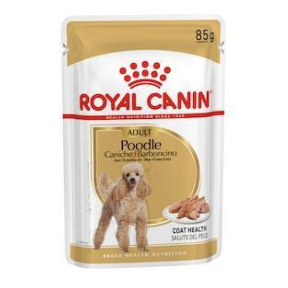 Royal Canin - Perros Adultos Poodle Paté