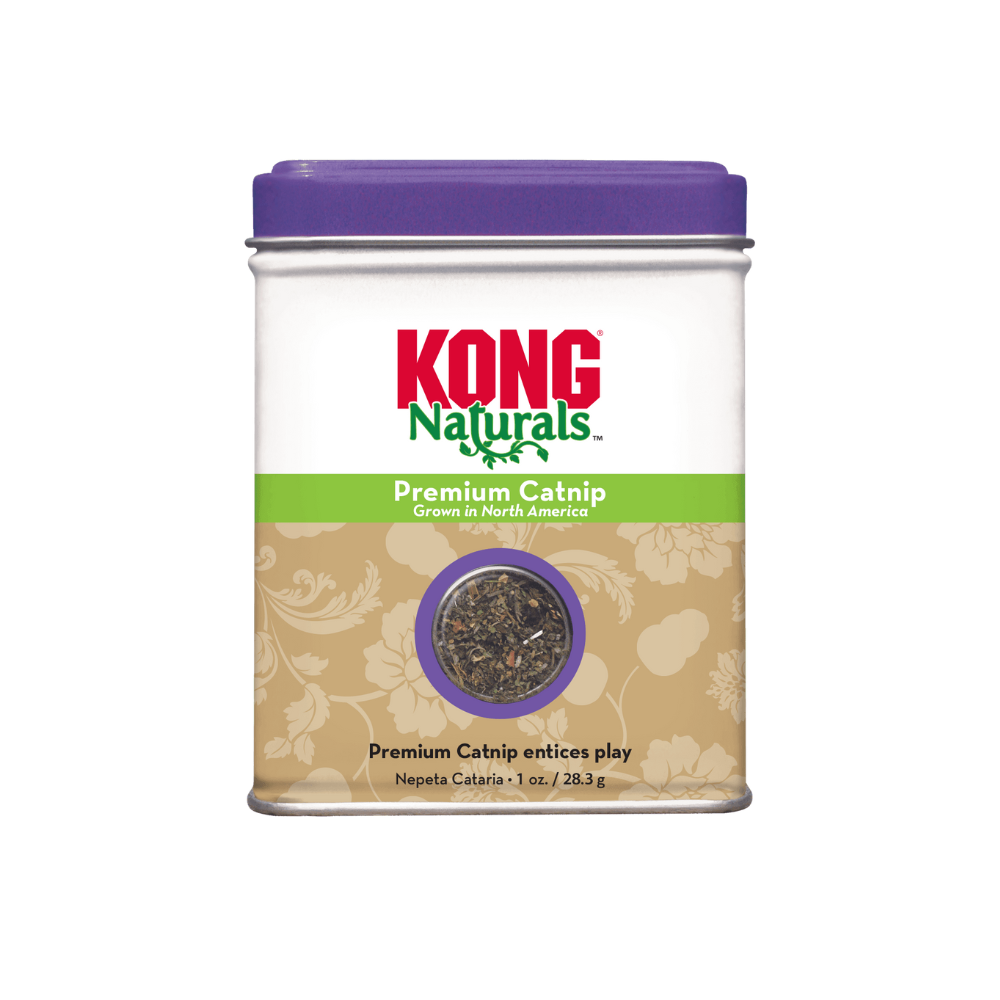 KONG - Catnip Menta Gatuna Natural