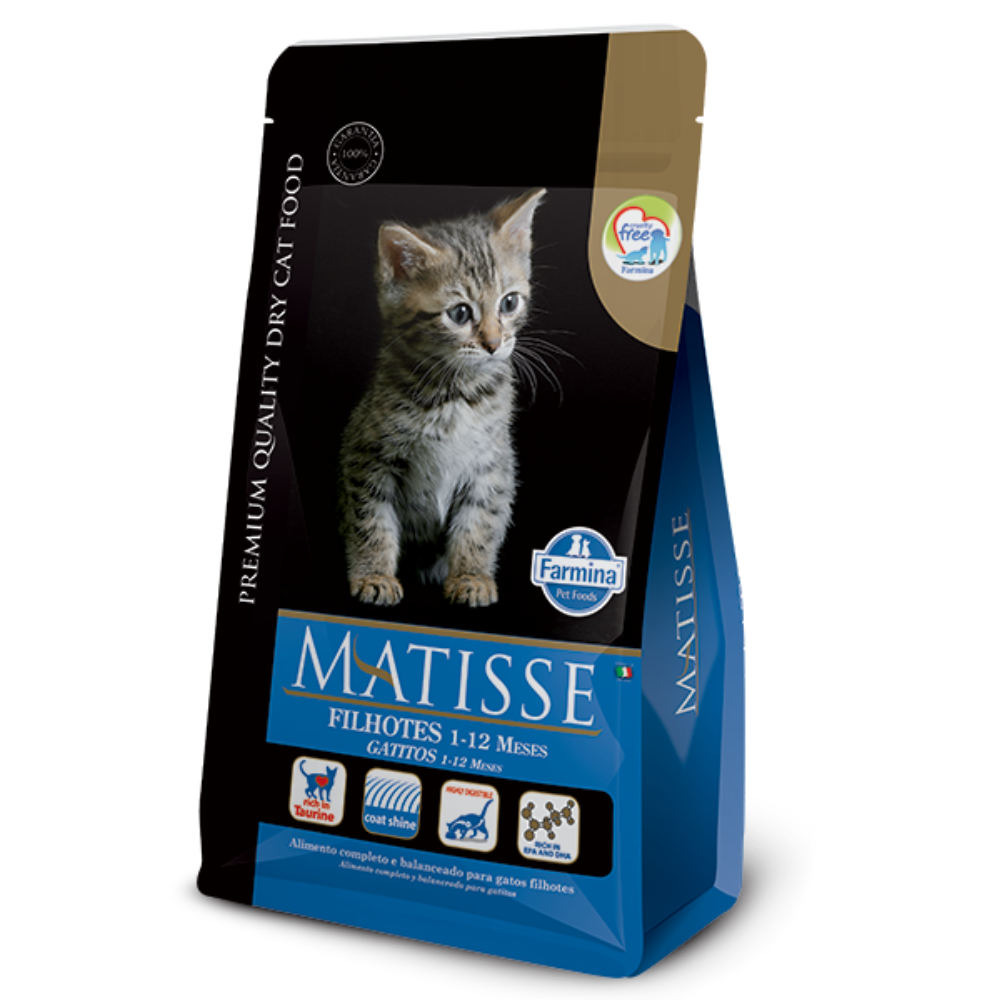 Matisse - Gatitos