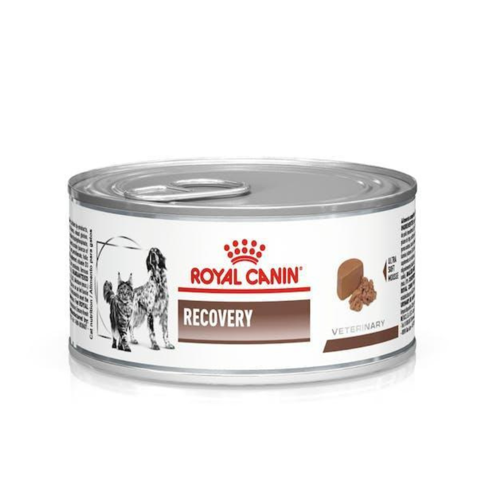 Royal Canin - Recovery Lata