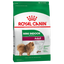 Royal Canin - Perros Adultos Mini Indoor