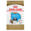 Royal Canin - Perros Cachorros Shih Tzu