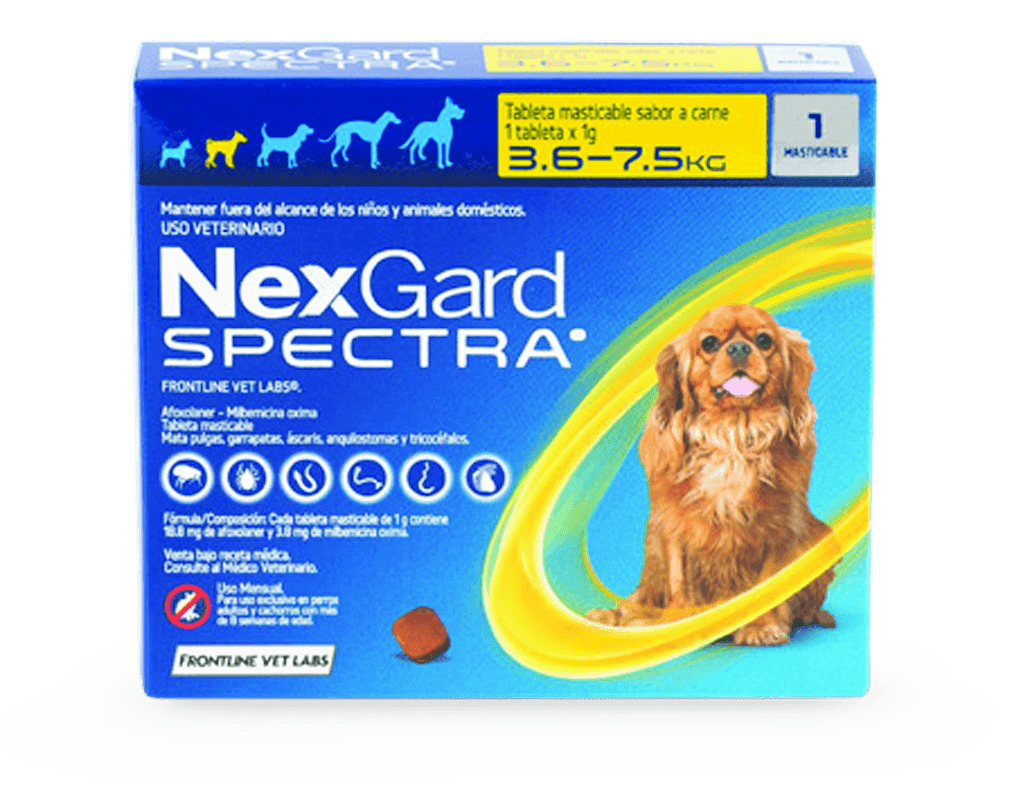 Protección completa para tu mascota con NexGard Spectra - 4Pets