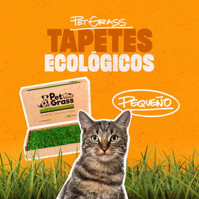 Pet Grass - Tapetes Ecológicos Pequeños 50x50x9 cm (Día entrega todos los Jueves)