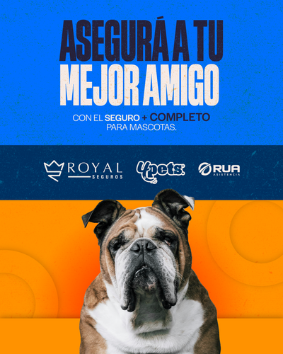 Categoría 3 C - Anual (Perro)