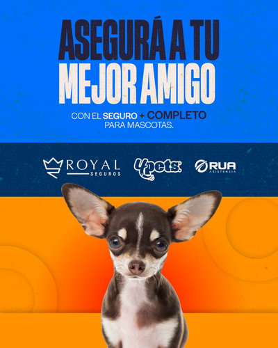 Categoría 1 A - Anual (Perro)