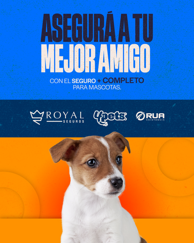 Categoría 1 B - Anual (Perro)