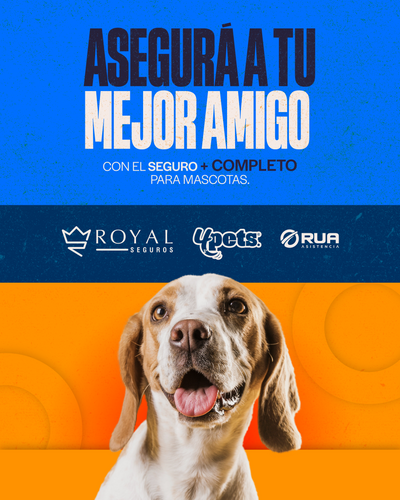 Categoría 2 B - Anual (Perro)