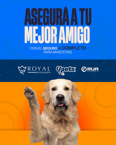 Categoría 3 B - Anual (Perro)