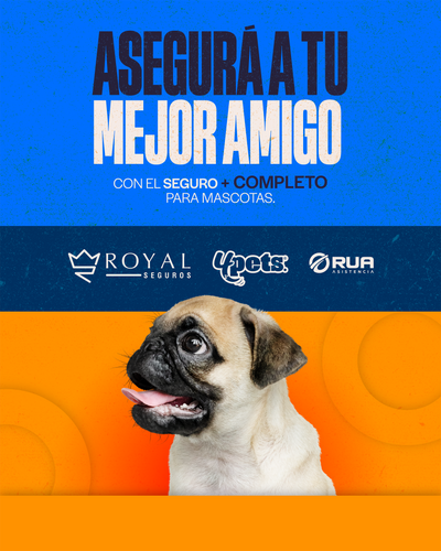 Categoría 1 C - Anual (Perro)