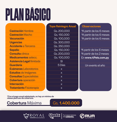 Categoría 1 A - Anual (Gato)