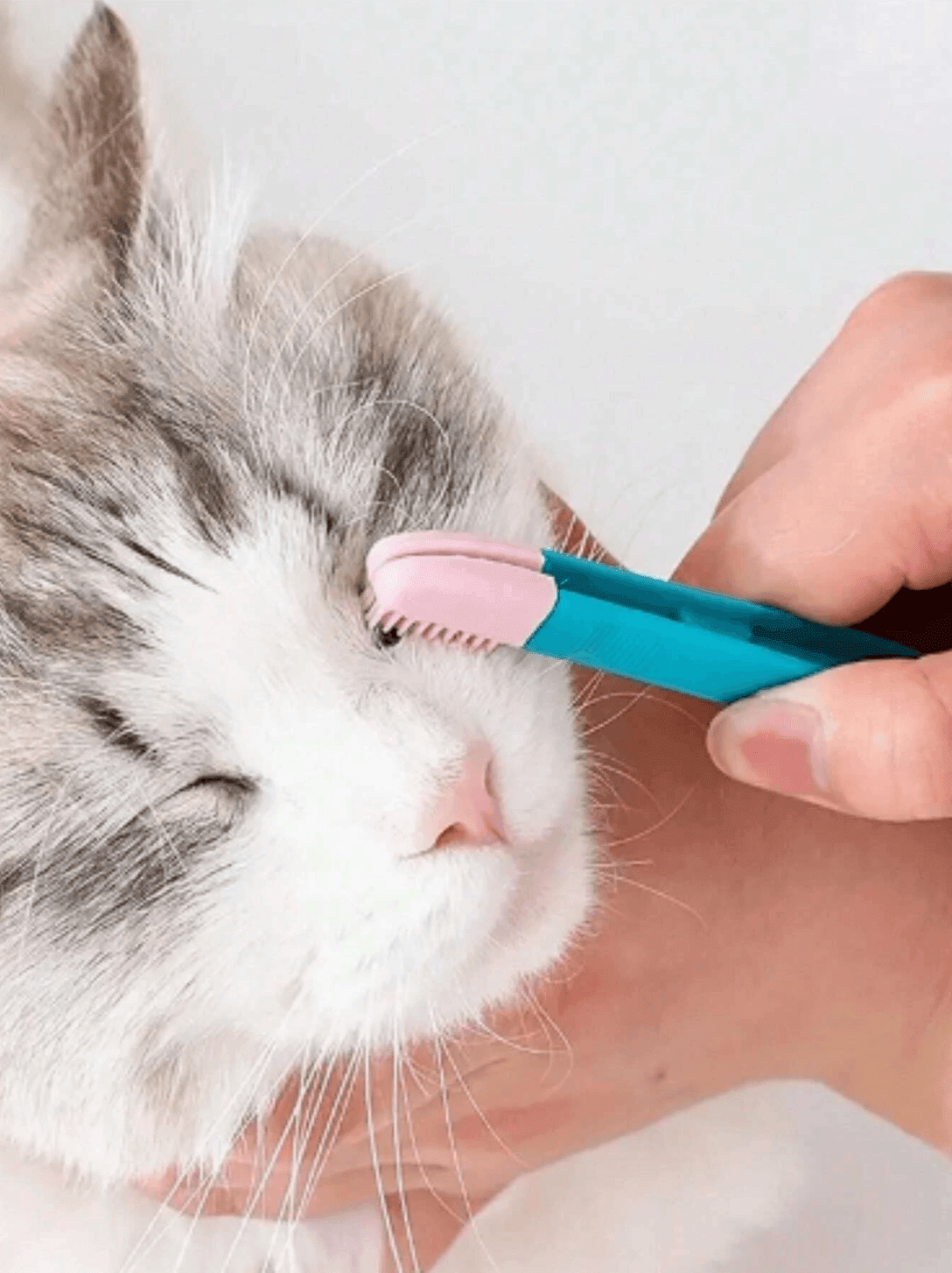 Limpia Ojos para Mascotas