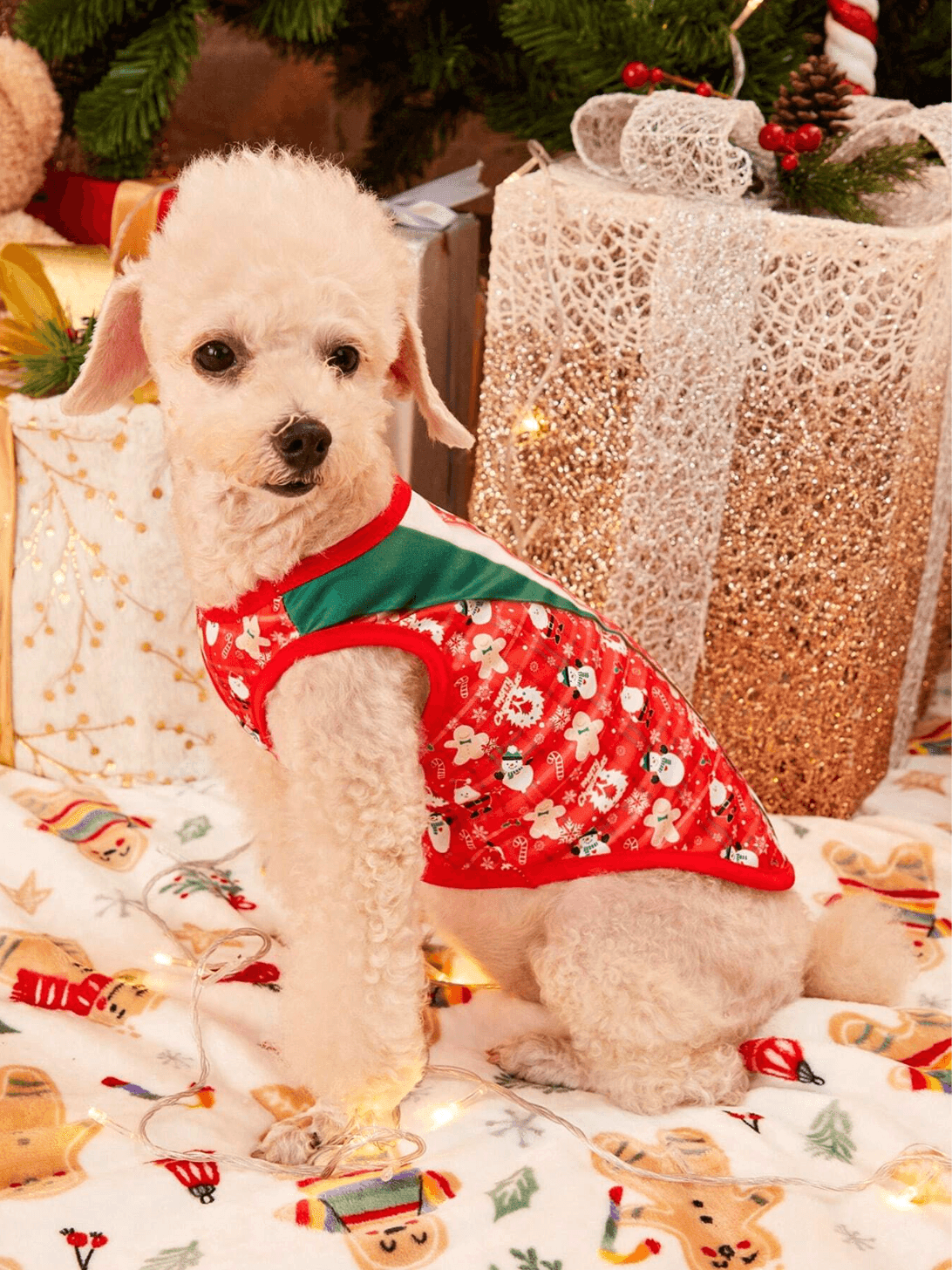 Traje Navideño para Mascotas