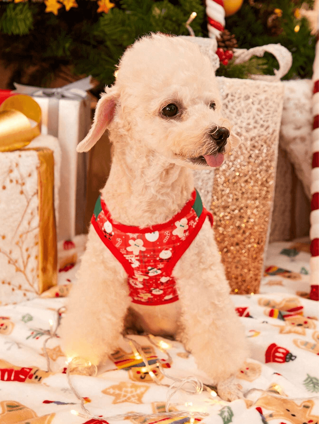 Traje Navideño para Mascotas