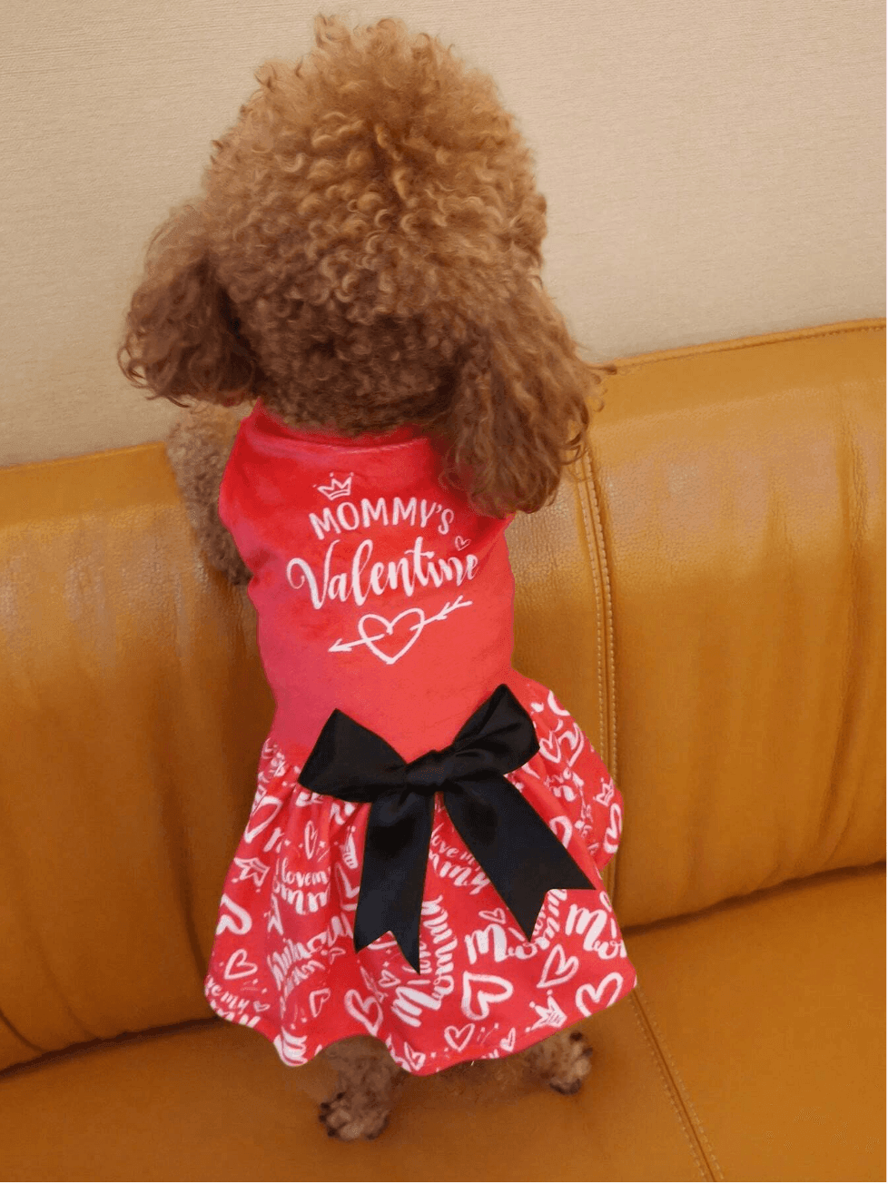 Vestido Valentines