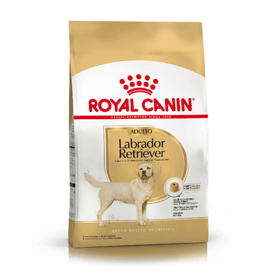 Royal Canin - Perros Adultos Labrador Retriever