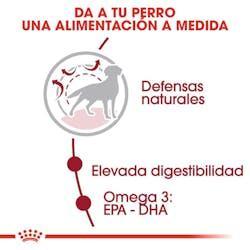 Royal Canin - Perros Adultos Medium