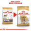 Royal Canin - Perros Adultos Bulldog Ingles