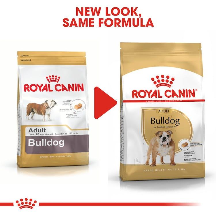 Royal Canin - Perros Adultos Bulldog Ingles