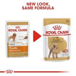 Royal Canin - Perros Adultos Poodle Paté