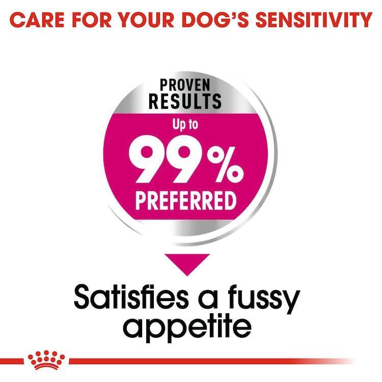 Royal Canin - Perros Adultos Mini Exigent