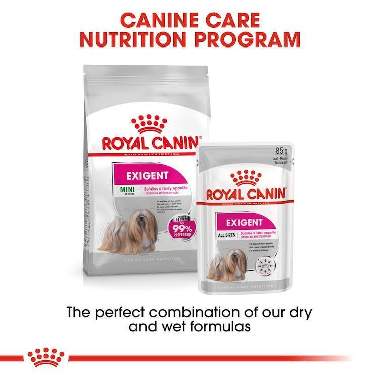 Royal Canin - Perros Adultos Mini Exigent