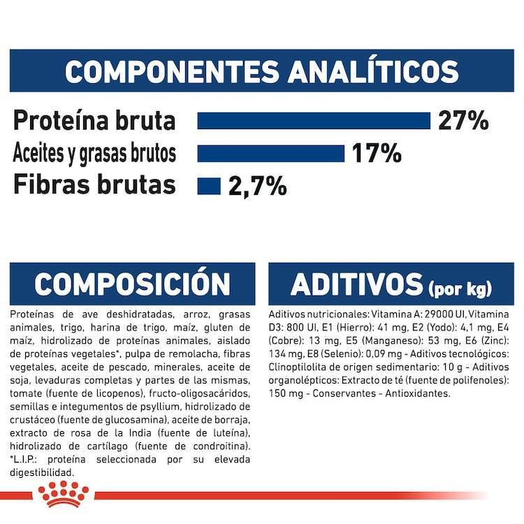 Royal Canin - Perros Adultos Maxi Ageing +8